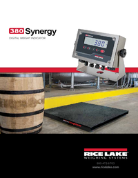 Thumbnail of document Lit 207750 380 en us rev c web2 17170